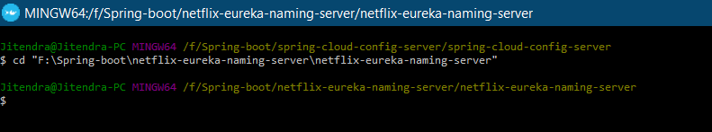 eureka docker