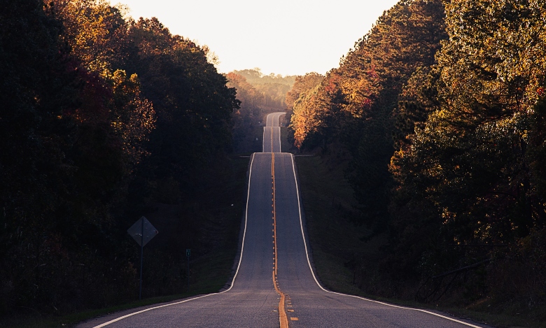 winding-road-between-forest