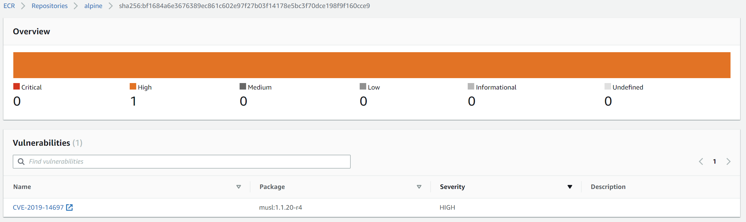 Checking vulnerabilities