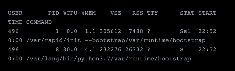 Python function in the micro VM.