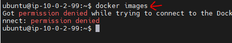 Docker Images Permission Denied