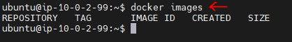 Trying Docker Images Command Again