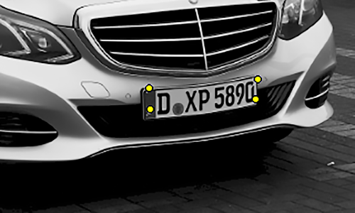 Detecting keypoints of license plates