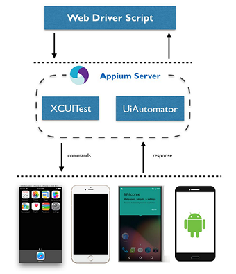 appium server capabilities examples android device