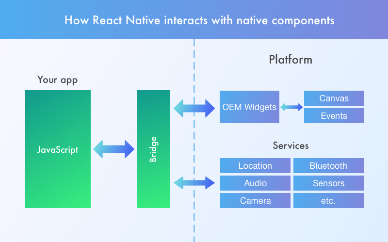 flutter vs react native future