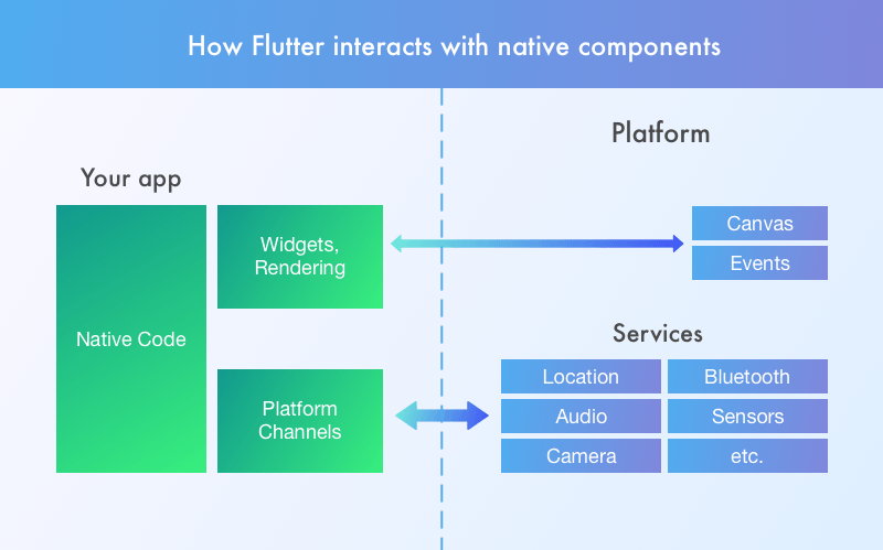 Структура flutter проекта