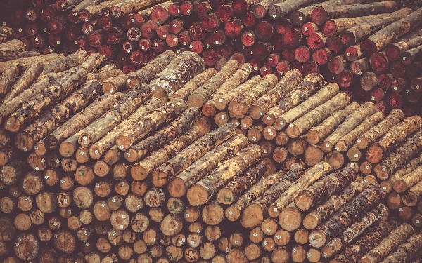 Log Management: What Is It and Why You Need It