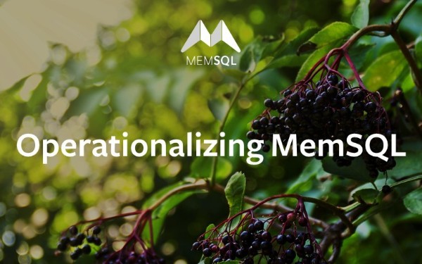 Operationalizing MemSQL